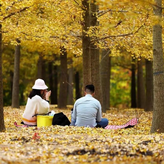 出发！抓住秋天的尾巴威海『拾秋地图』上新啦