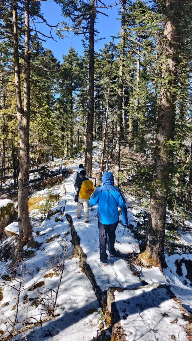 踏雪寻野！七女峰初冬徒步，美到词穷