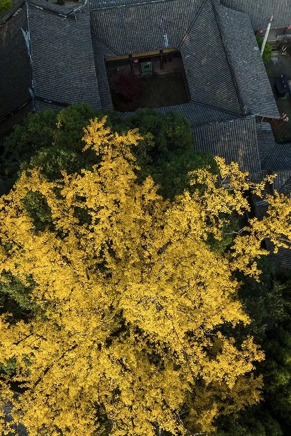 不上班，就上山！