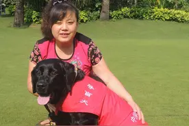 培育成本每只近20万元，导盲犬带主人融入公众日常图片