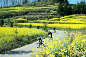 云南罗平第九届花海山地自行车赛开赛图片