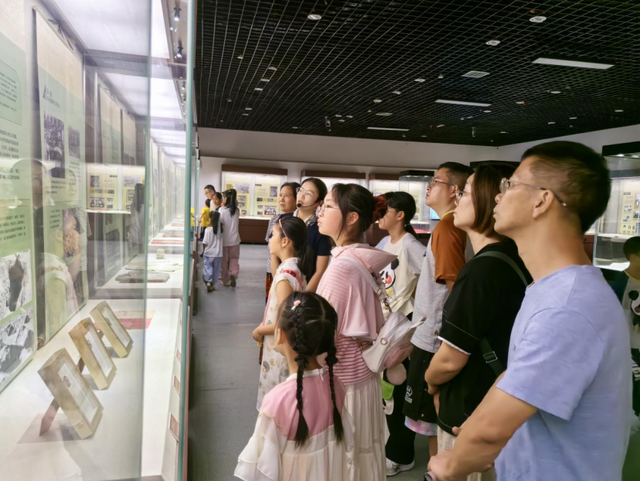 超28万人次打卡！ “湘见万年”助力岳阳市博物馆成文旅新热点
