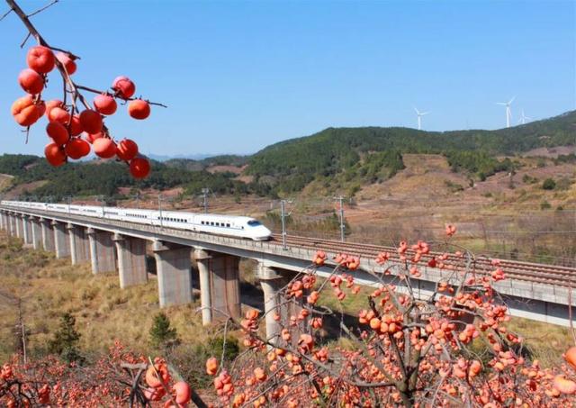 这座高铁站内，为啥众多旅客手拿树枝？