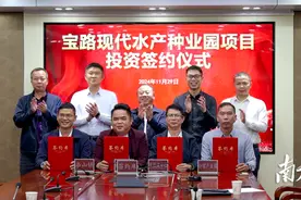 产业转移、鱼跃湾区、金融赋能……禅茂协作这一年火力全开图片