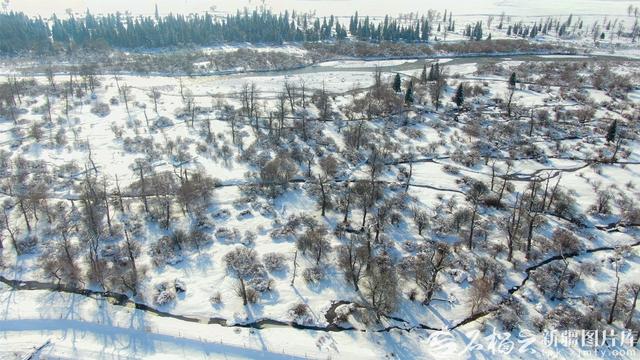 初冬那拉提：雪落成诗，云雾山色演绎中式美学