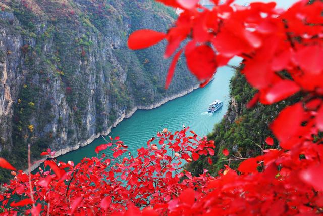何以重庆丨巫山：等到满山红叶时