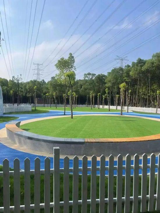 新一批宠物友好公园上线 上海踏秋遛宠增好去处