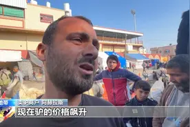 加沙地带能源短缺 越来越多人选择牲畜拉车图片
