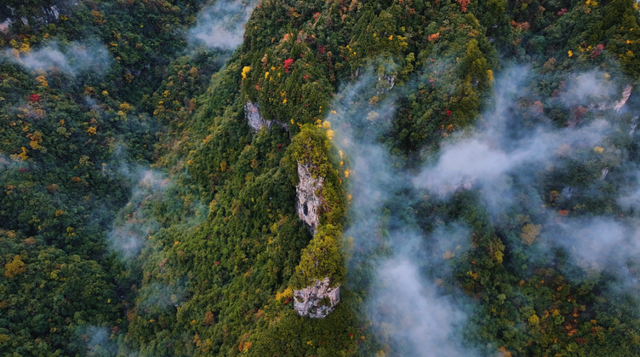 长潭河的秋：打翻调色盘的人间仙境