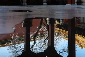 春花壁纸上新！故宫杏花开放好浪漫图片