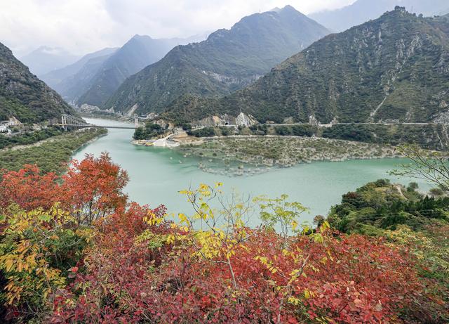 诗意中国｜碧涧流红叶 青林点白云