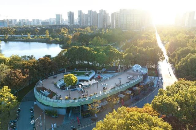 湖光金叶织秋韵