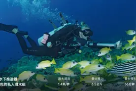 15秒飙到深水区！这款“水下机器人”在大鹏完成测试，精准护航生命救援图片