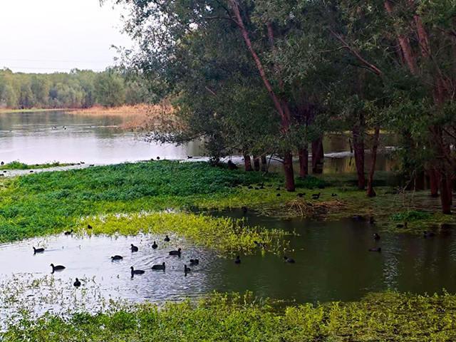 人文齐鲁|清河之水南山来