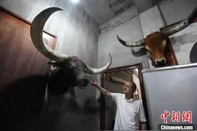 福建“非遗”：从一根牛角到一把角梳图片