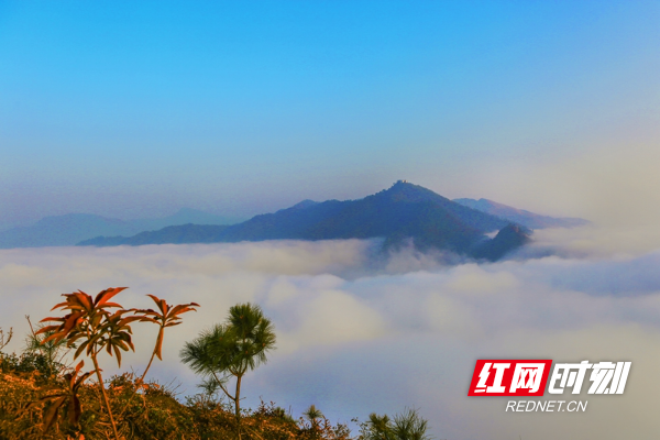 云海为幕，日出为笔，邂逅洪江古商城的极致浪漫