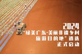 投票｜畅游一“夏”，潮玩广东非遗打卡绿美乡村！图片
