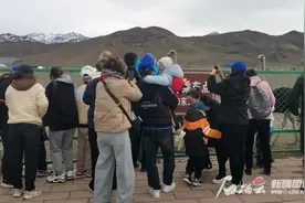 儿童说话晚属于“贵人语迟”？专家：须警惕孤独症图片