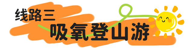 五大旅游主题线路出炉！看完“浙BA”，这样玩转金华→
