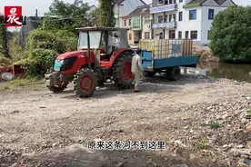 自留地上一夜间出现数吨建筑碎石？金山爷叔怒问来源视频封面