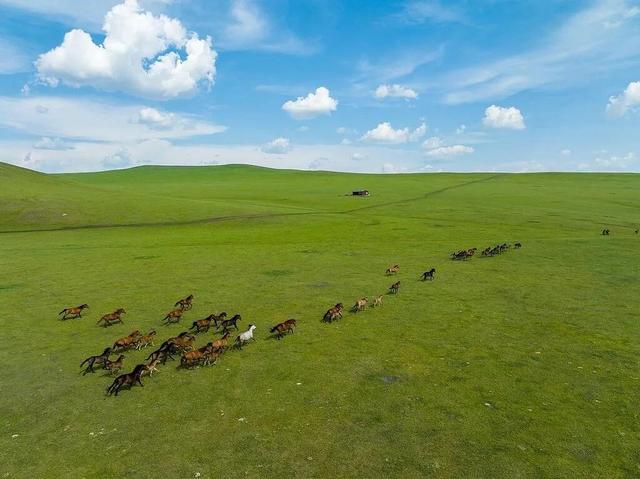 跟着电影去旅行！这些打卡地太出片