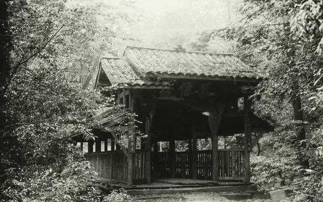 问道青城山，解锁四川人的“神仙日子”