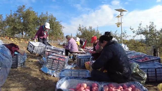 生态绘新卷 各地绘就绿色发展好风光