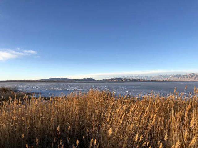 边塞诗写的都是真的？