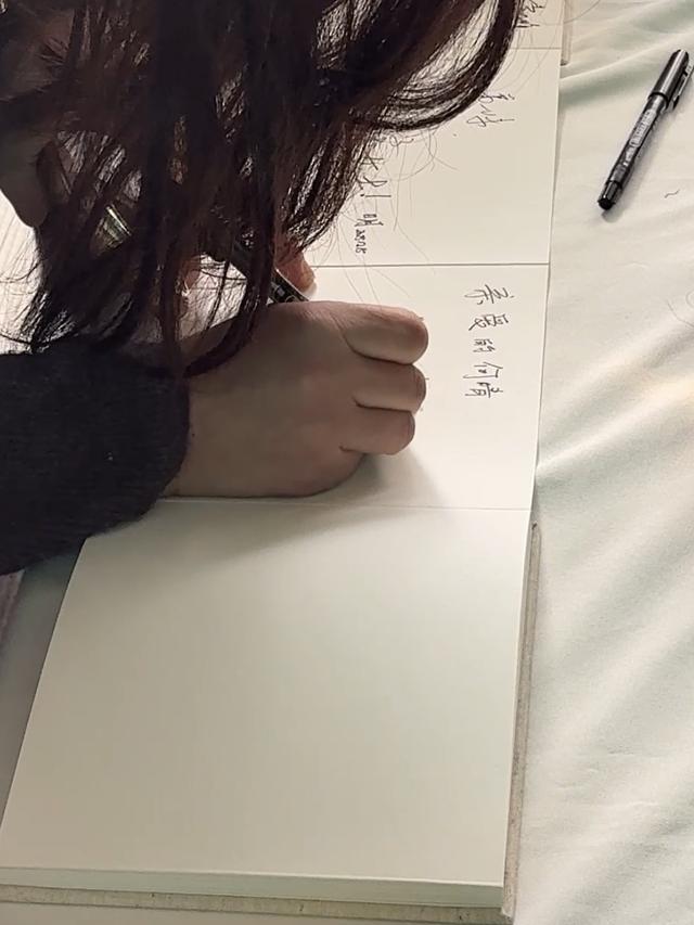 何晴告别仪式在京举行，儿子深情追忆：妈妈喜欢雪	，北京初雪是为她而下