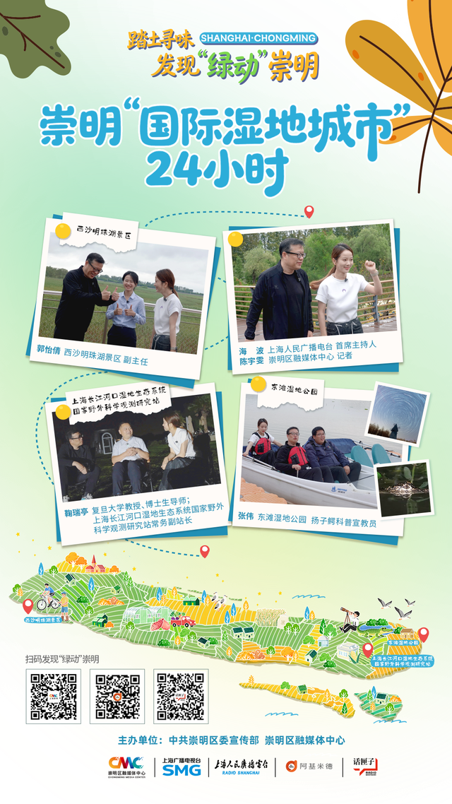 崇明“国际湿地城市”24小时：白天跑马拉松，晚上遇扬子鳄、看银河，太治愈了！