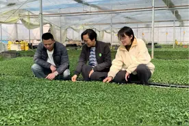 人勤春来早！奉贤春耕备耕忙图片