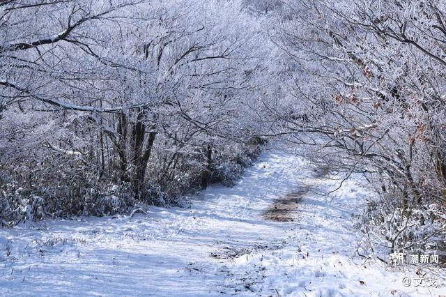 晚潮｜桐杭岗今冬第一场大雪