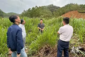 实地定损，高州法院精准维护农户权益图片