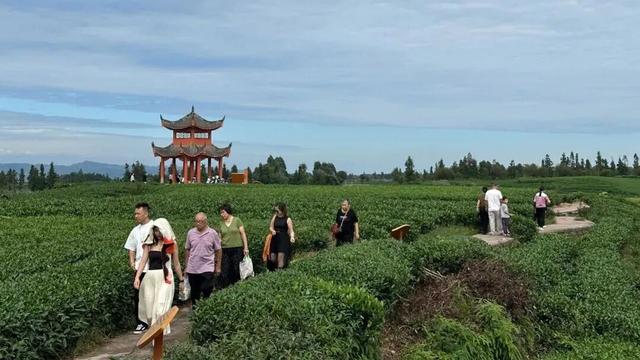 国庆中秋名山旅游亮点多，多彩活动嗨翻假期！