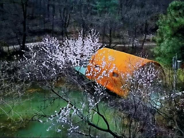 春赏繁花冬观雪，文脉浸润乐无穷—— 藏在华亭山间的“康养秘境”米家沟