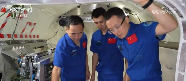 小鼠、向日葵、地黄……“太空家园”迎来“新伙伴” 航天员在轨生活充实有趣