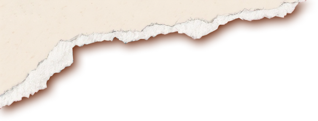 省级创新案例！东阳+1