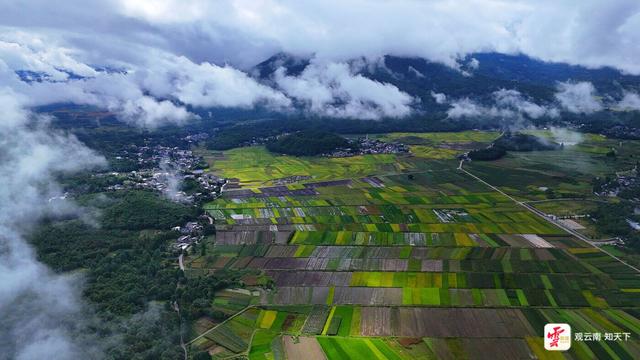 来云南旅居吧丨来腾冲，打开火山边的丰收画卷