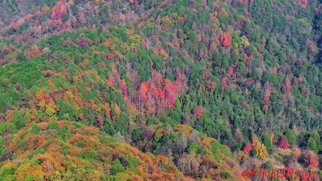 ​图说 | 中方县：“中国南方葡萄沟”五彩斑斓如油画