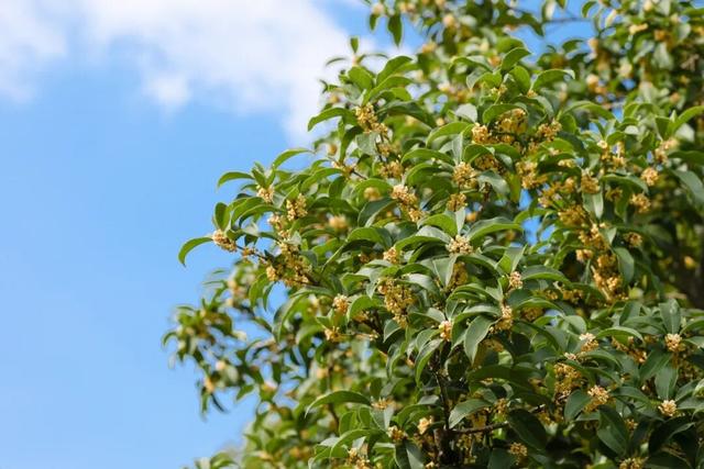 这声“对不起”，泰州人等了半个月！