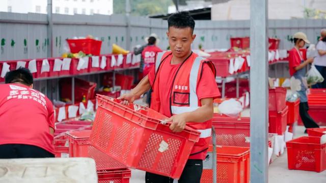 返乡十年，他们拼得如何？