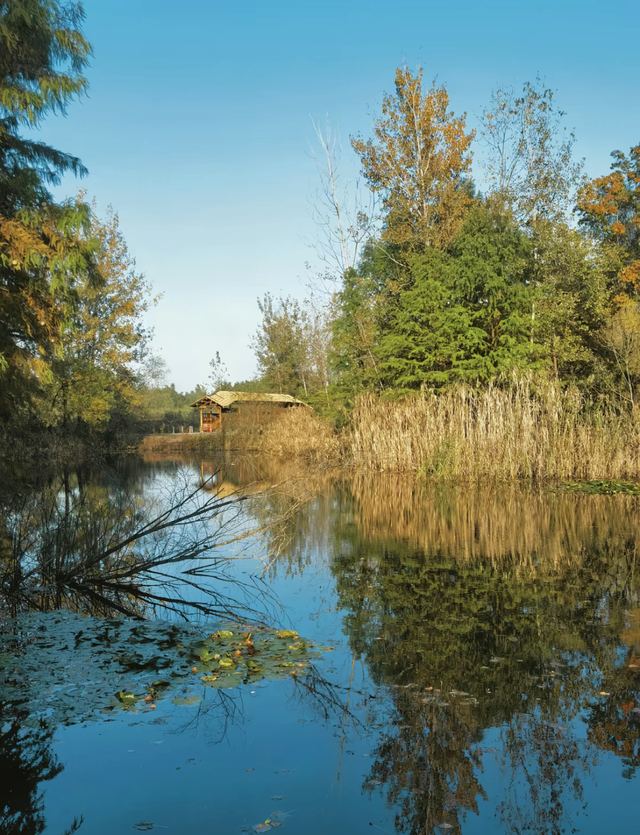 立冬第一游去哪里？淮安5处目的地，这个时节美翻了！