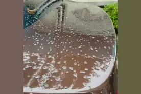 今天竟然下雪粒了？！长沙，你真的很“癫”图片