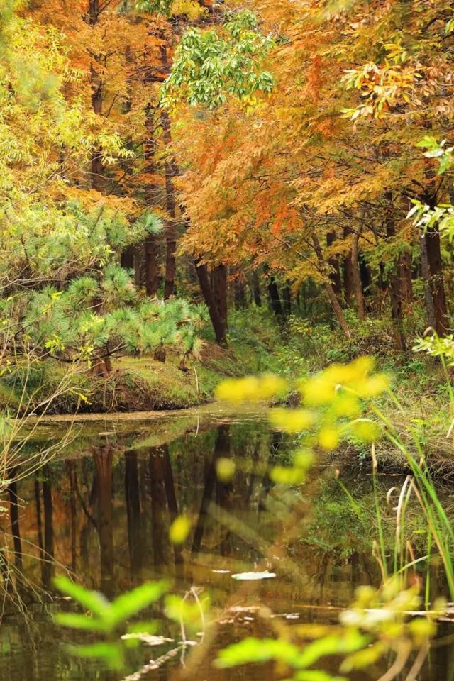 日照色彩派对开启！“美拉德”风景正当时！