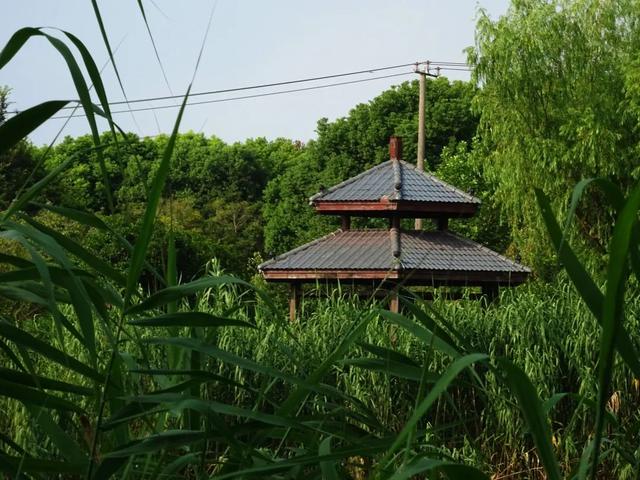热到融化？来这里立刻降温5℃！