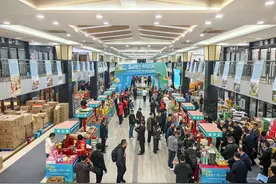 2024北京商业年度调查|大集、直播产生新增量 批发市场链接一刻钟便民生活圈图片