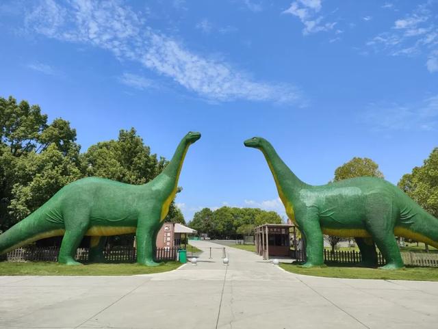 从化石标本到文旅名片，地质遗产活化的“郧阳答案”