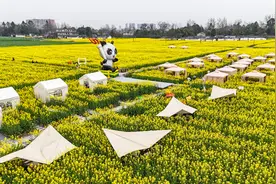 “巴适”里烟火悠扬，“安逸”中活力奔放——成都幸福城市建设观察图片