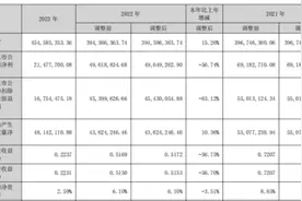 蒙泰高新净利连降3年 坦承“碳纤维项目存推进速度低于预期风险”图片