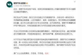 理想汽车回应“车内摄像头拍不雅照”：谣言！已向公安机关报案图片